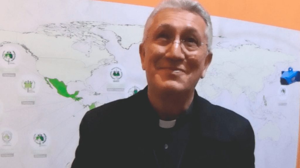 Dom Zilli video